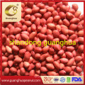 New Crop Blanched Peanut Kernels New Crop Healthy Hot Sale Half Split